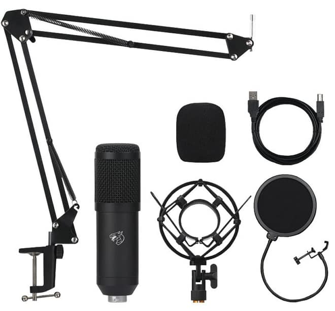 Microfono Shenlong SM-ARM909